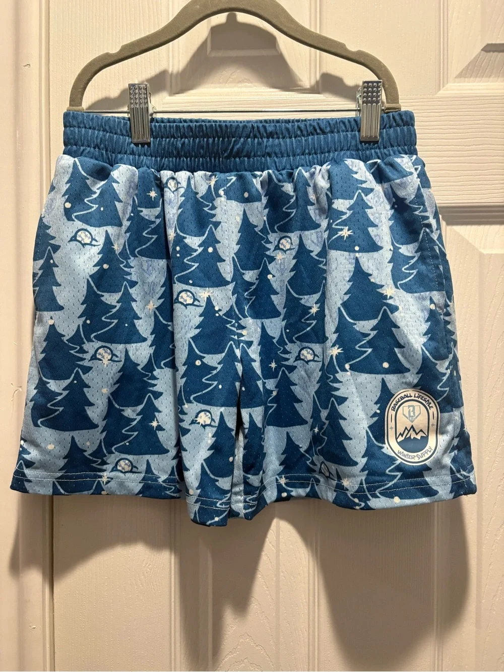 B101 winter 2025 shorts - Picture 1 of 3
